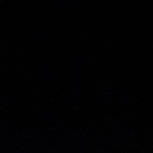 Meet your Posher, Billy